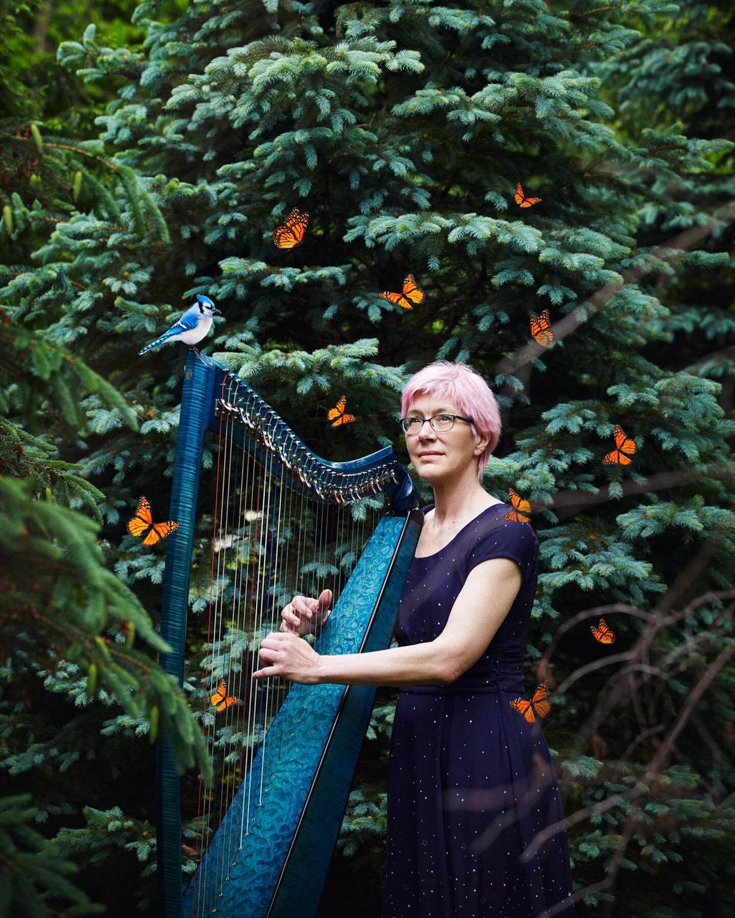 Harpist Charlene Elderkin. Image for her poster for her upcoming performance on August 8th at 5pm at the VFW shelter in Viroqua. #conceptualportrait #musicianportrait #musicianpromophotos #creativeportrait #creativepromophotos #blueharp #wisconsinpho