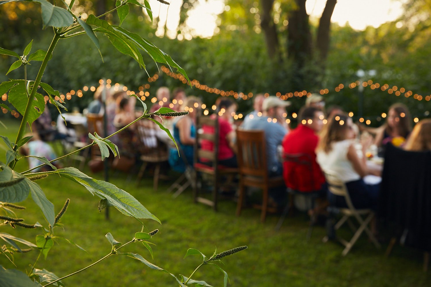SFF_FarmDinner2017_512_web.jpg