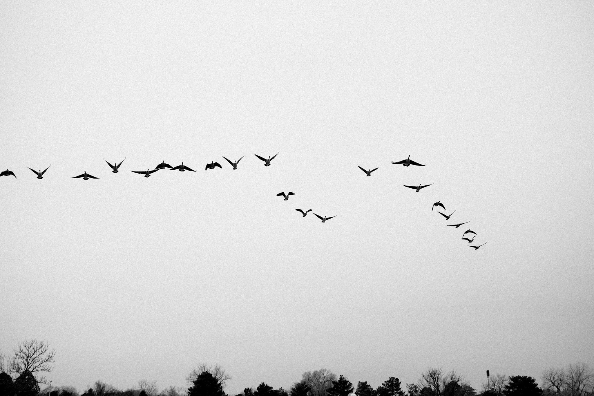 © Will Neder 2015