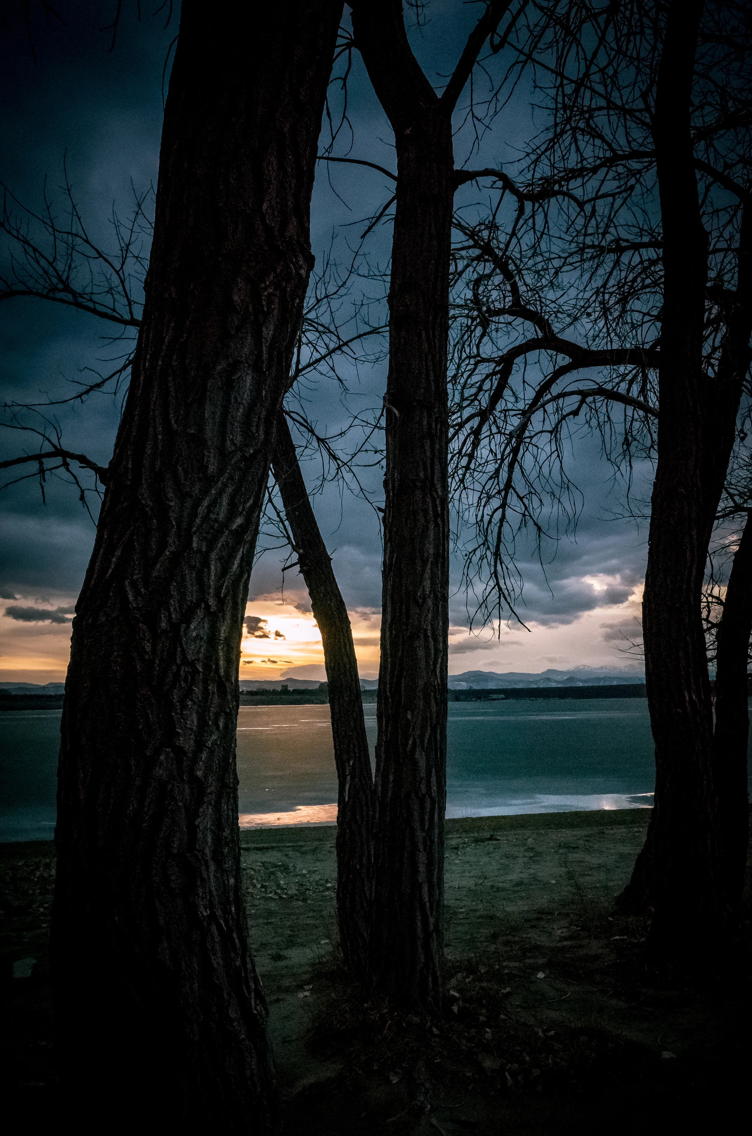 © Libby Neder 2015 