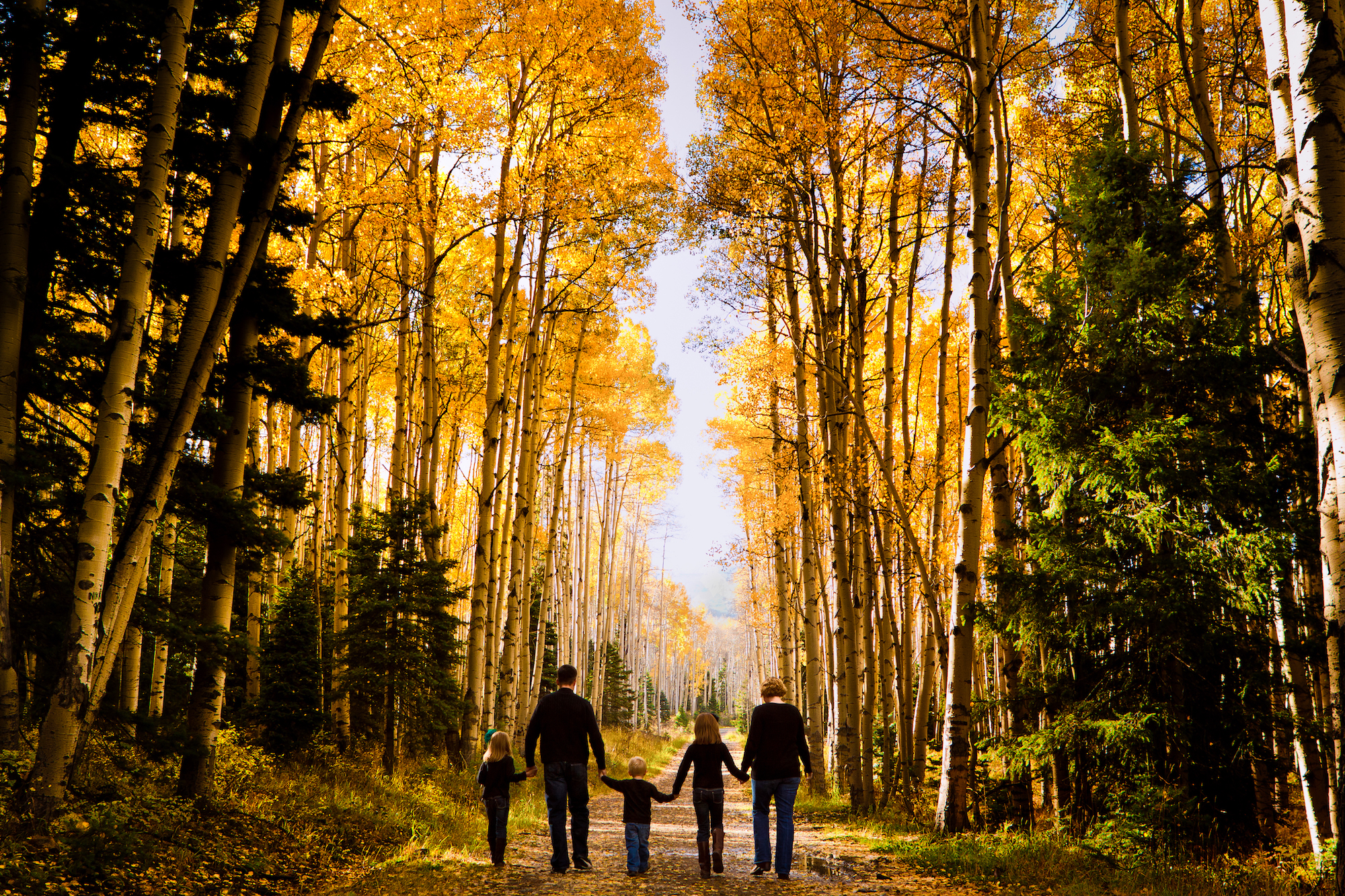 My favorite Family Photo ever--The Earleys in 2010 in Beautiful Pagosa Springs, CO