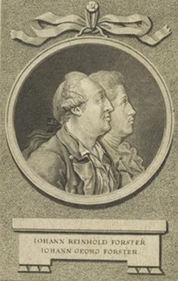 Talk from James Braund - 250th anniversary of the Forsters' arrival in NZ
