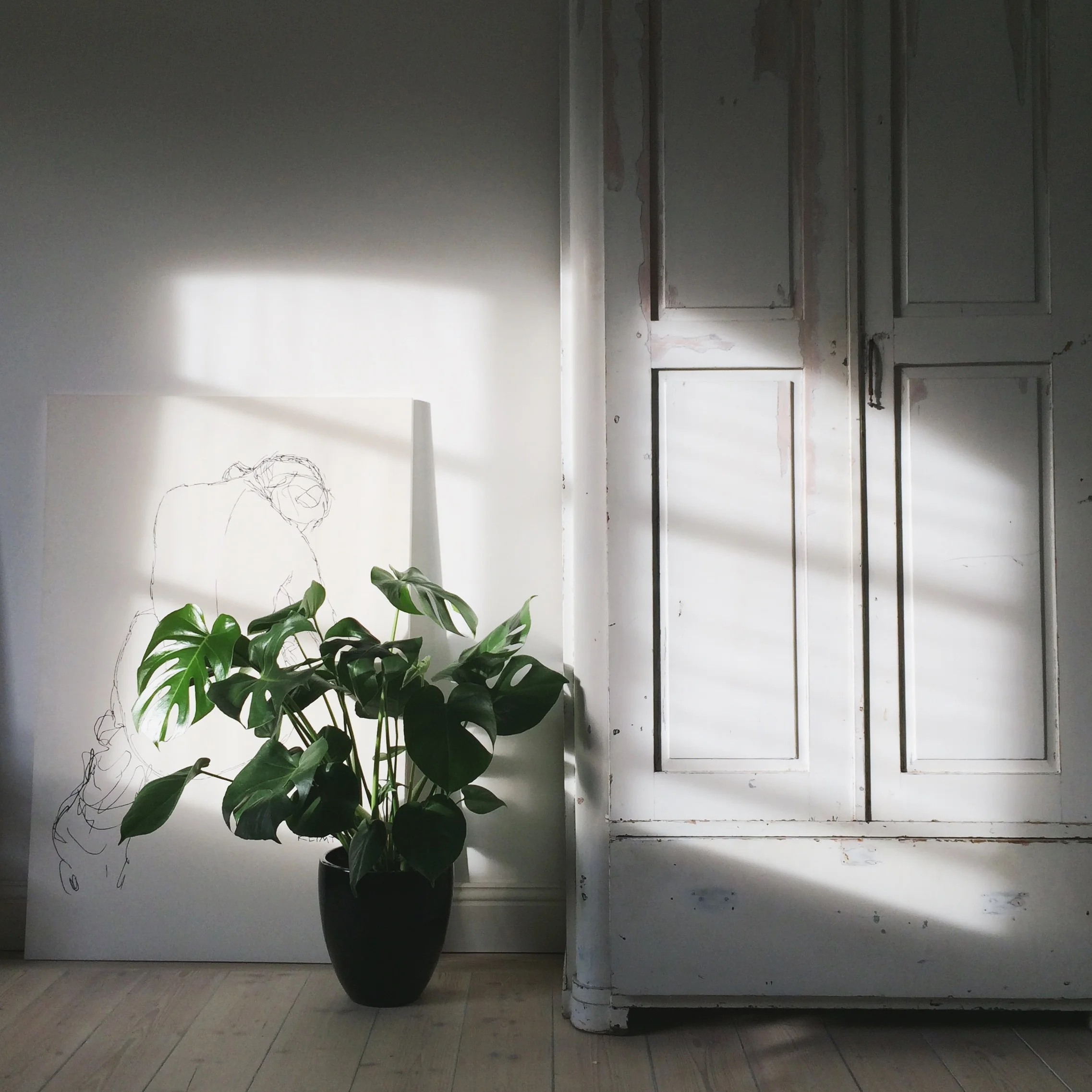 louiselj_vsco3.jpg
