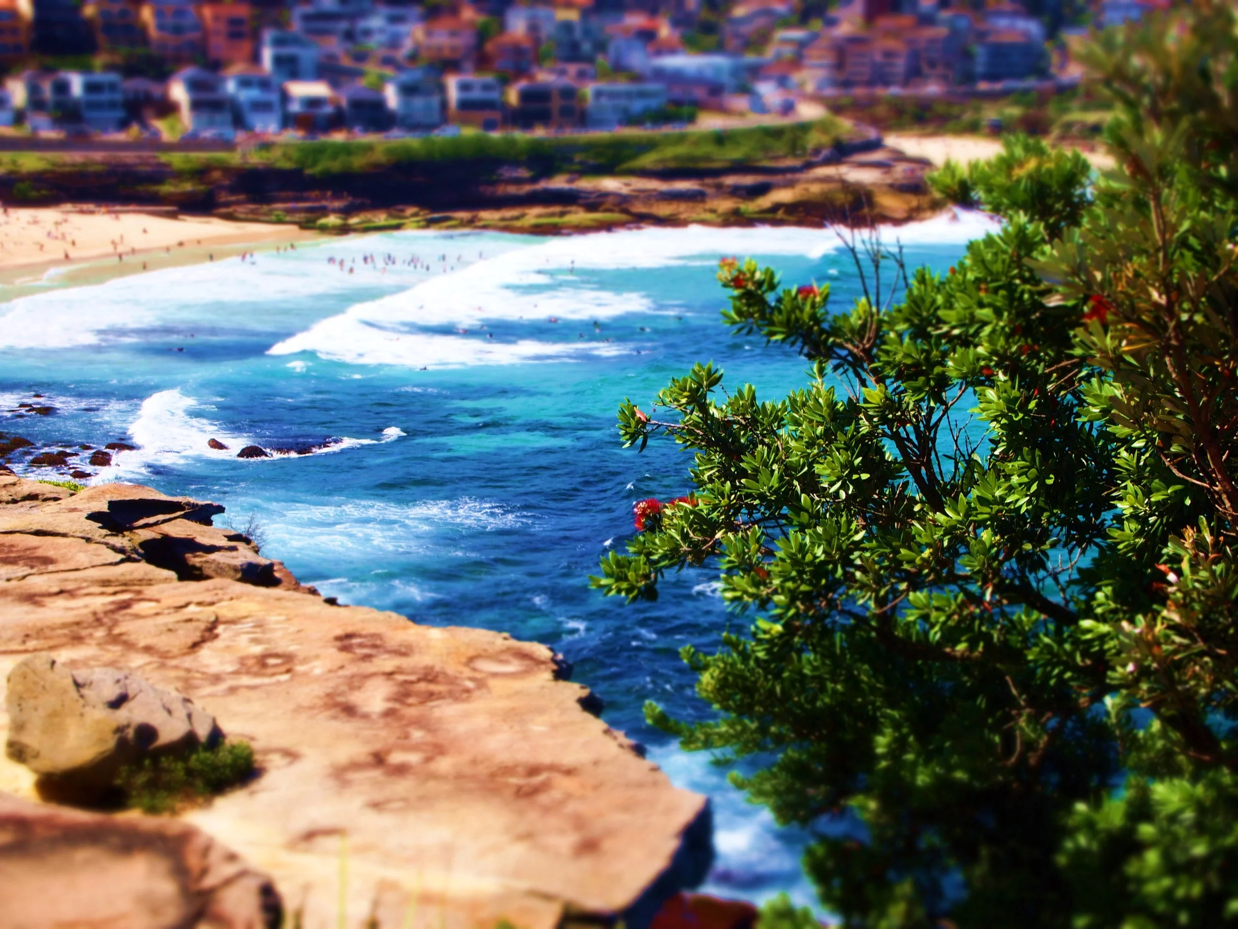 P1011121 - Copy - Copy.JPG