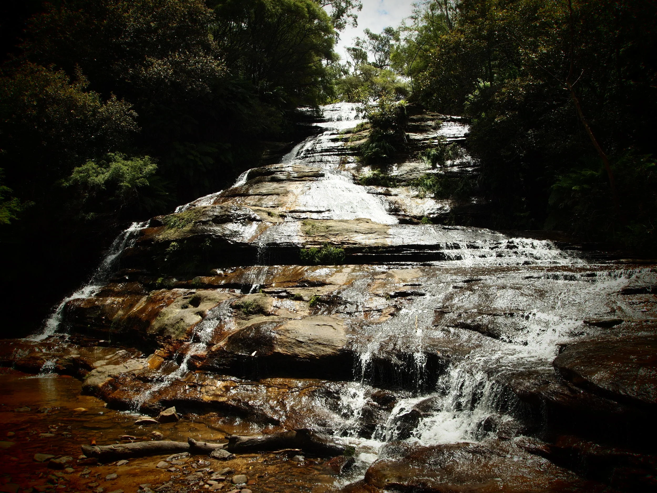 P1011146 - Copy - Copy.JPG