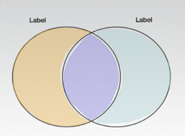 Venn Diagram