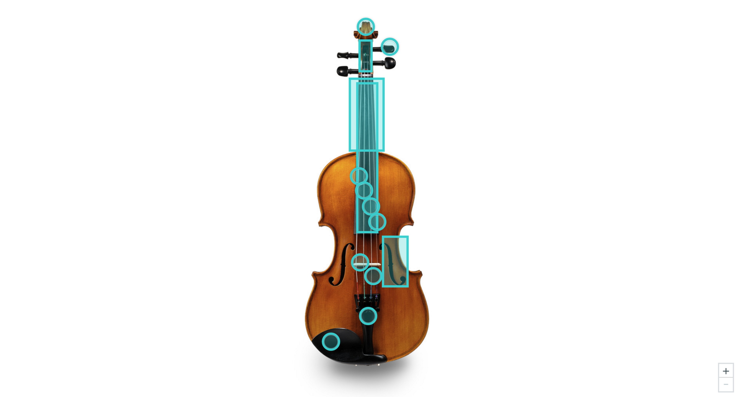 Parts of a Violin