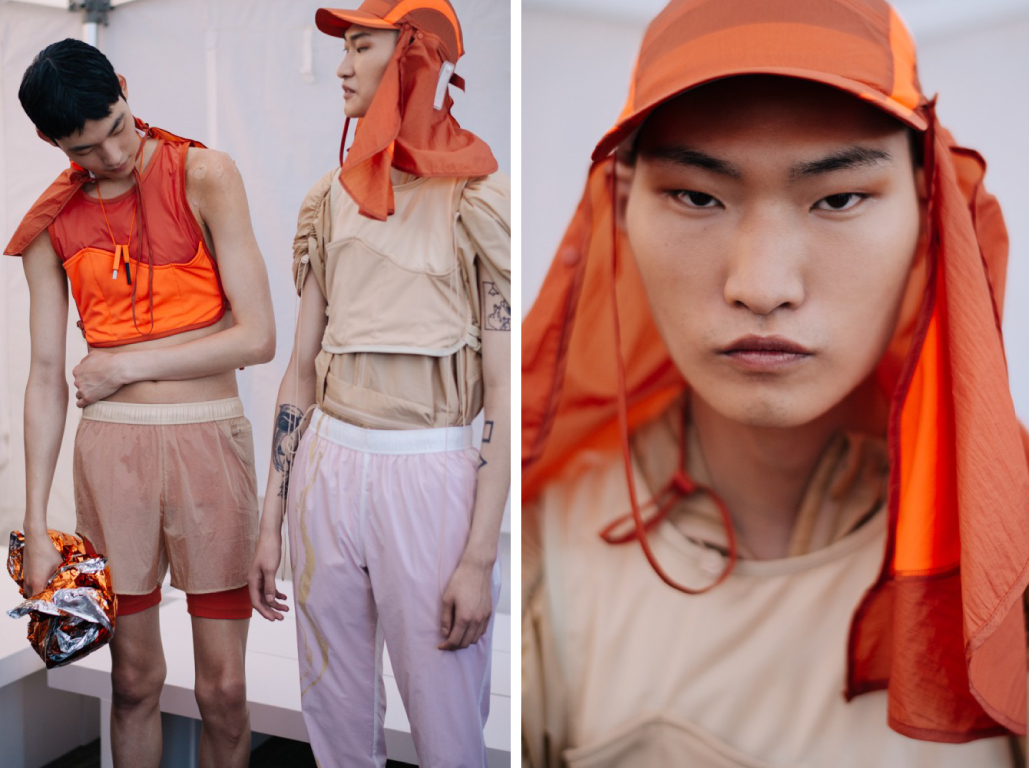 COTTWEILER.jpg
