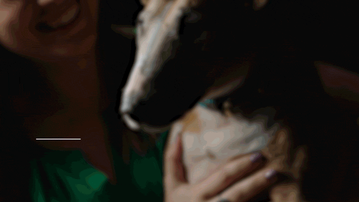 ronaldvillegas-degreesofimpact-video-2.gif