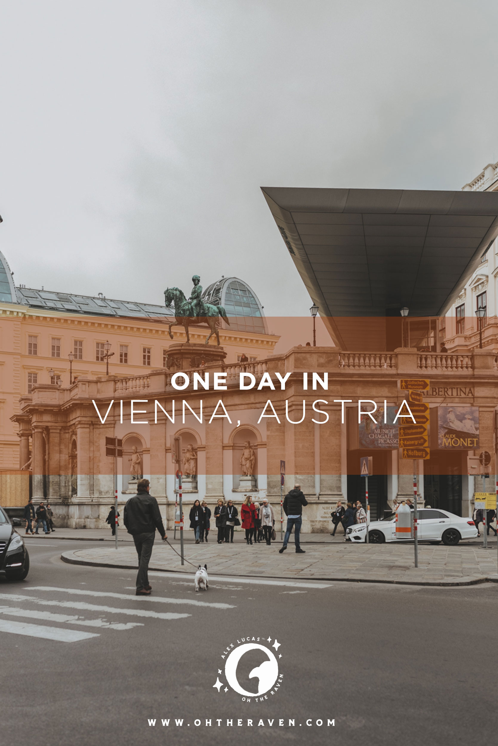alucas_vienna_pin.jpg