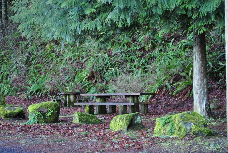 DSC_0169_forblog.jpg