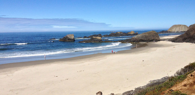 Oregon Coast with Kimba