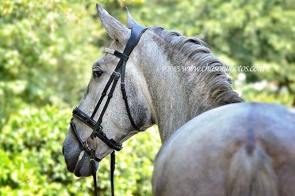 Photo taken by Kimberly Chason of Chason Photos & Art