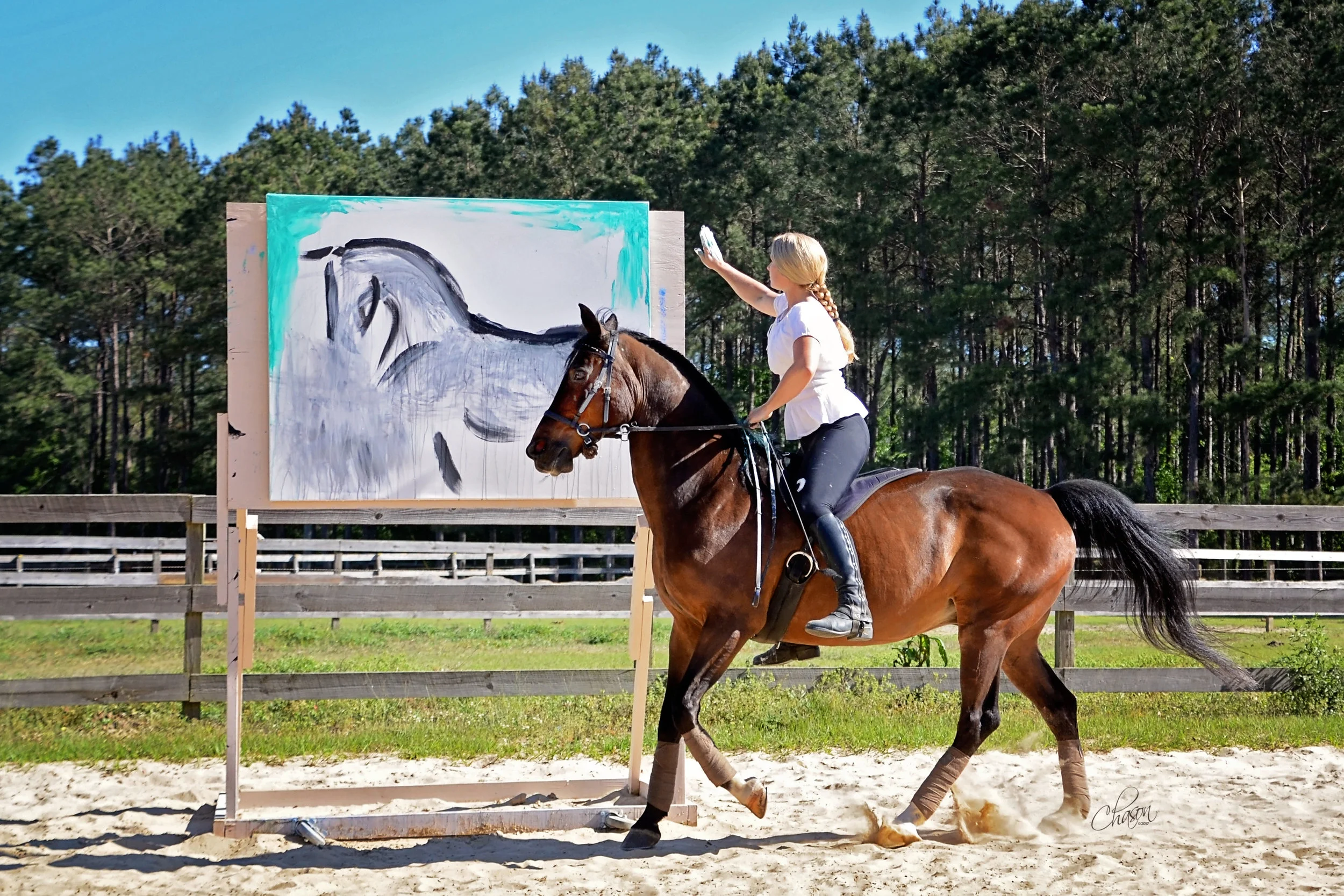 Photo taken by Kimberly Chason of Chason Photos & Art
