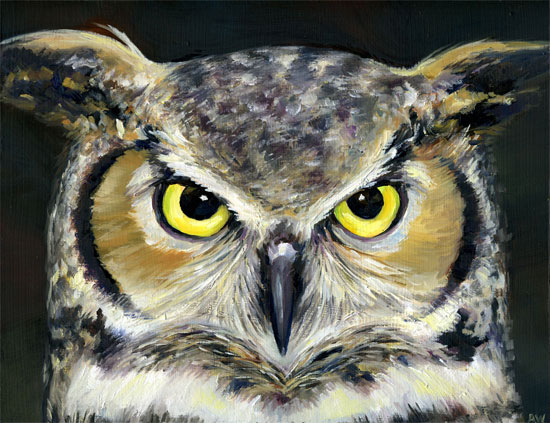 owl-350.jpg