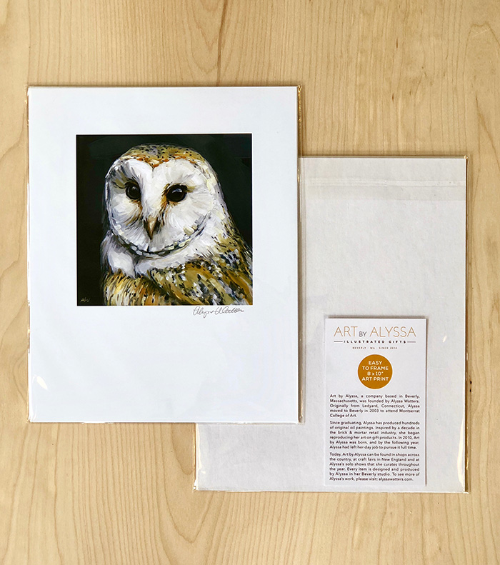barn-owl-8x10-p.jpg