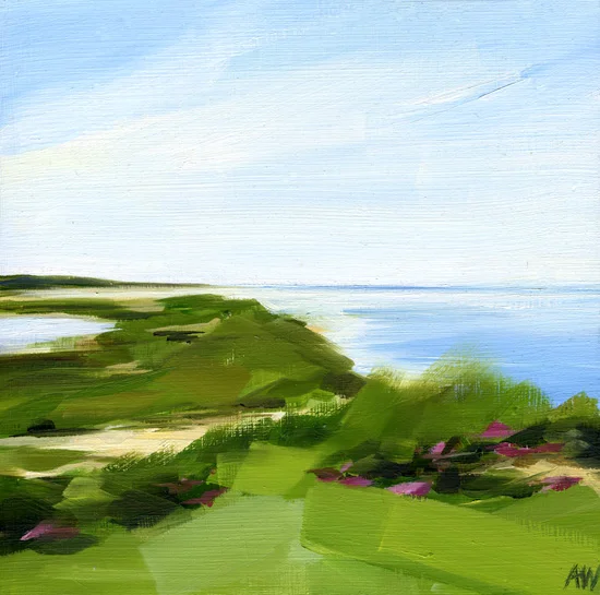 vineyard-dunes.jpg
