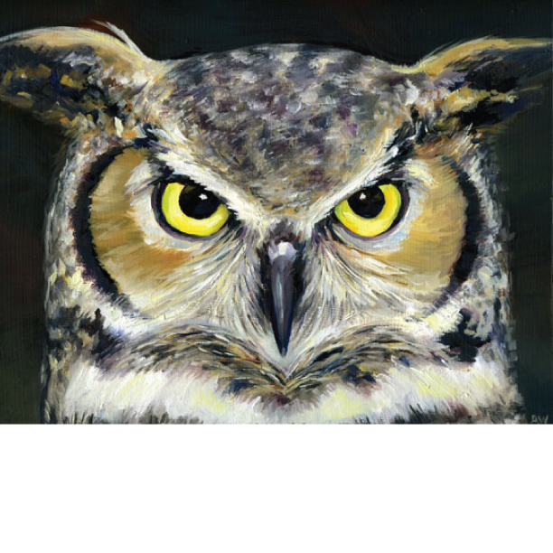 owl.png
