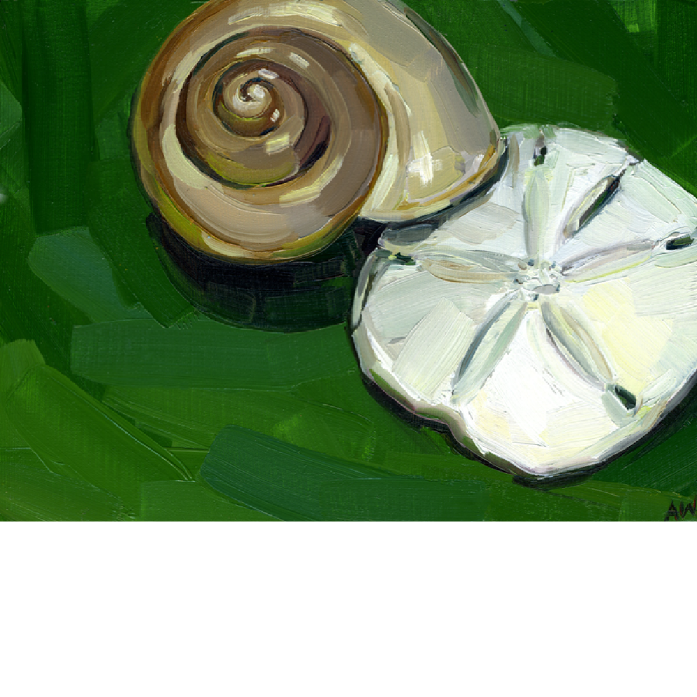 _green-shells_sq.png