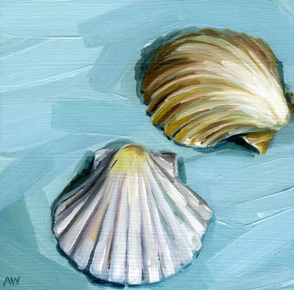 scallop-shells.jpg