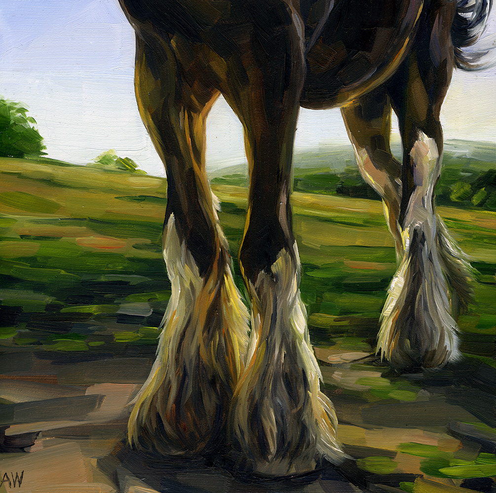 horse.jpg
