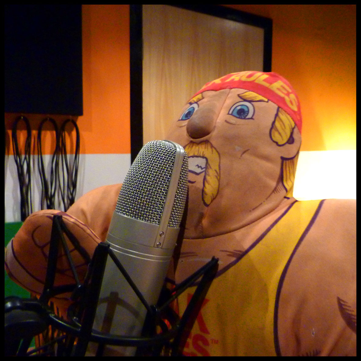 HOGAN-MIC.jpg