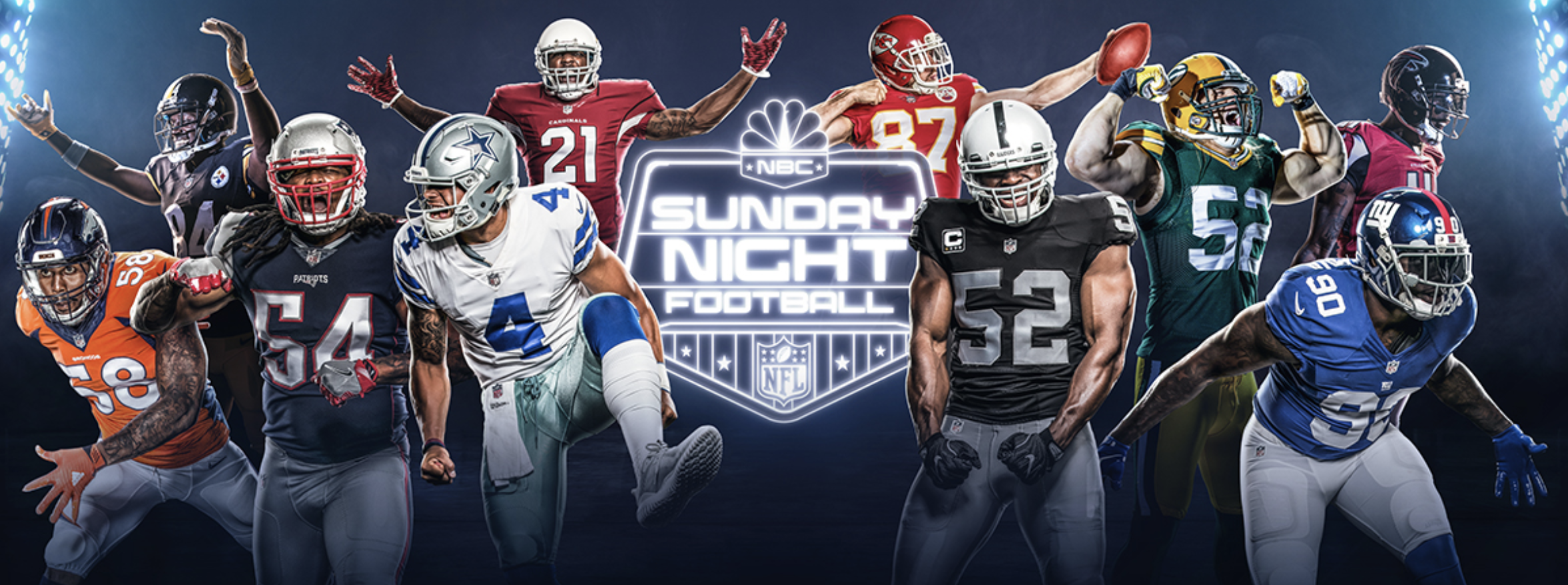 SNF Banner.png