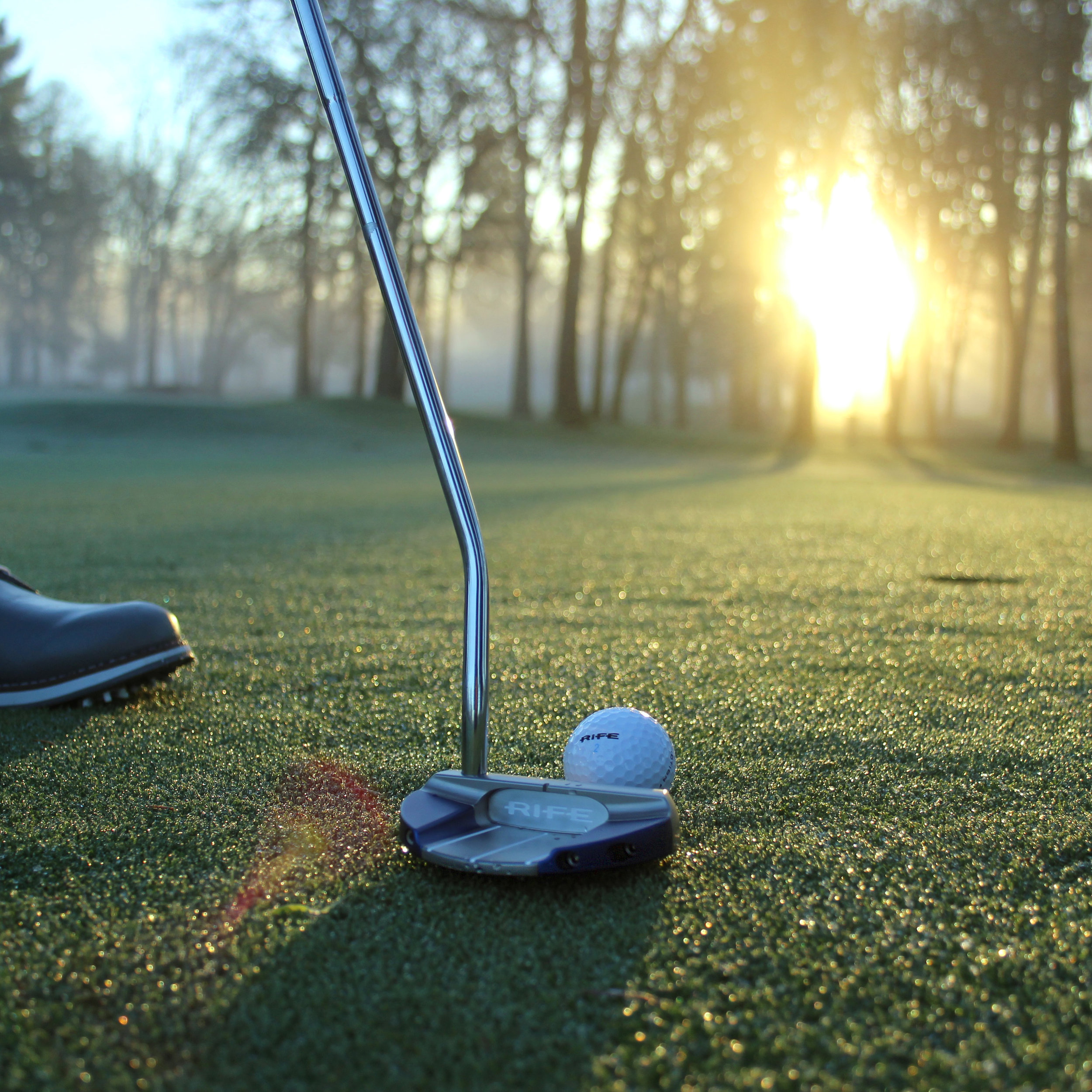 SB Mallet Cover Photo.jpg