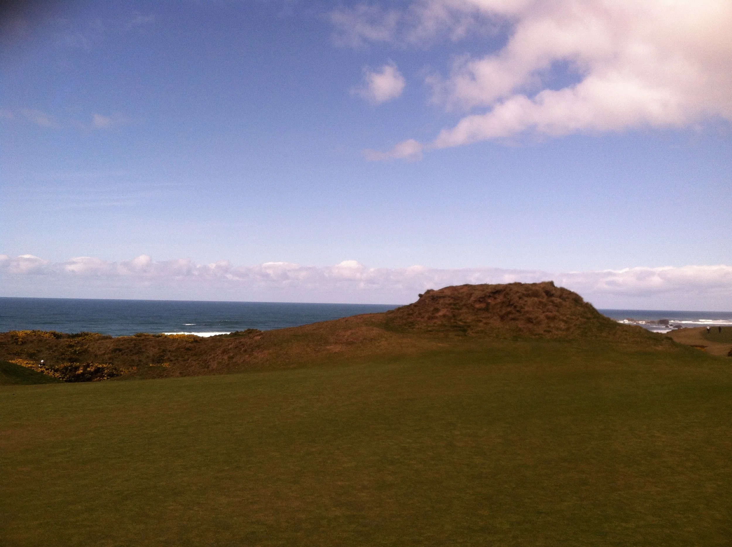 2013-03-17 13.02.03.jpg