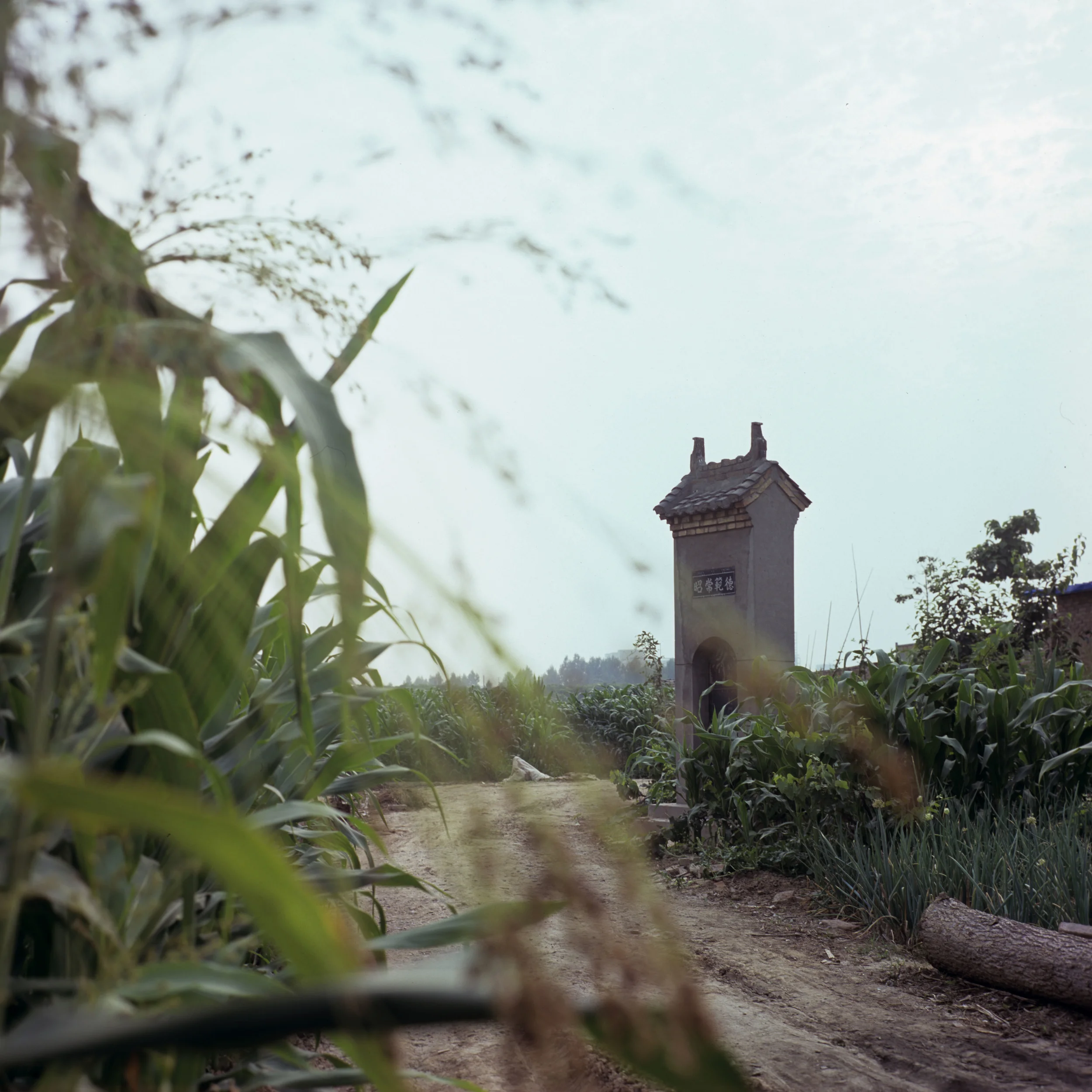 Shanxi,China,June,2012 