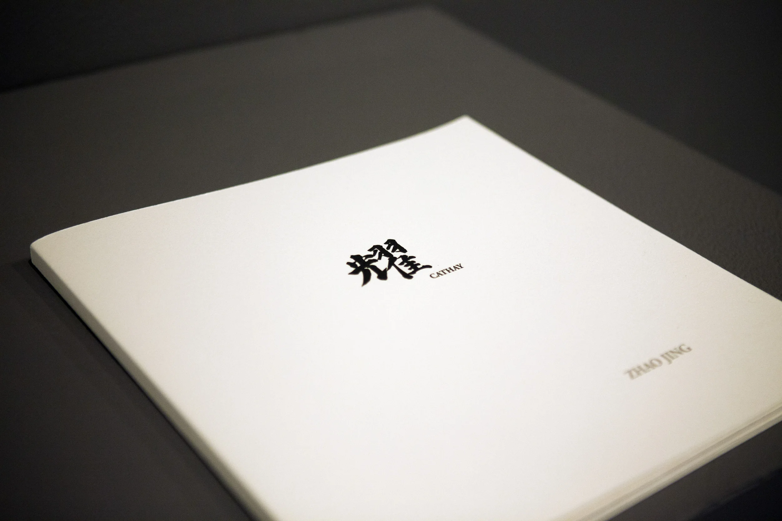 CATHAY ,Decker Gallery, Baltimore, 2013