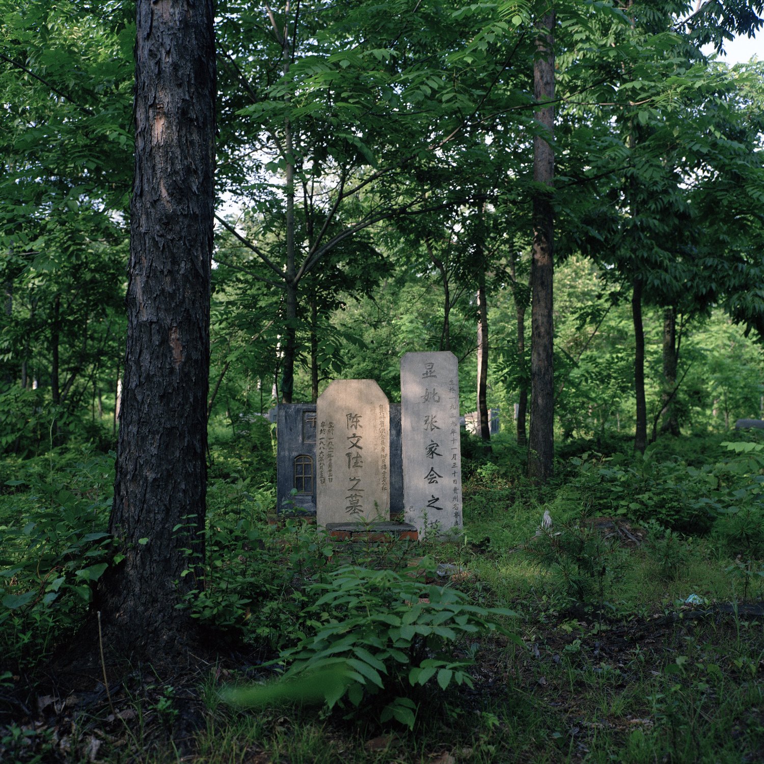 09.jpg