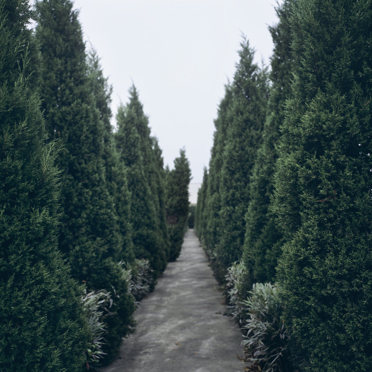  Shanghai, China, 2012 