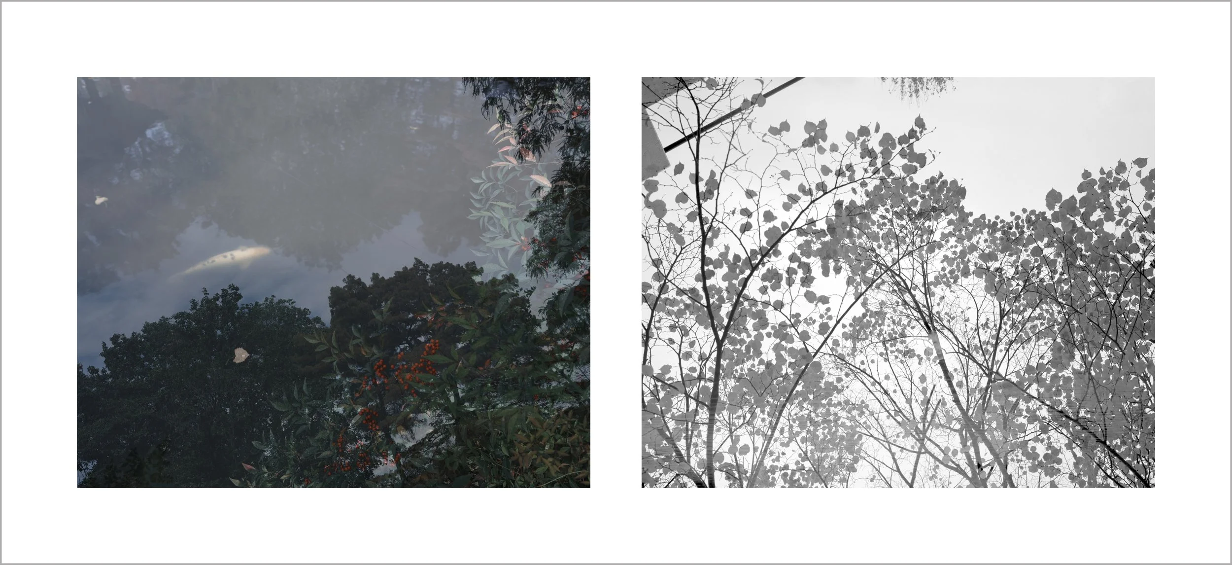 The Unmoving Cloud 停云诗 (after Ezra Pound)