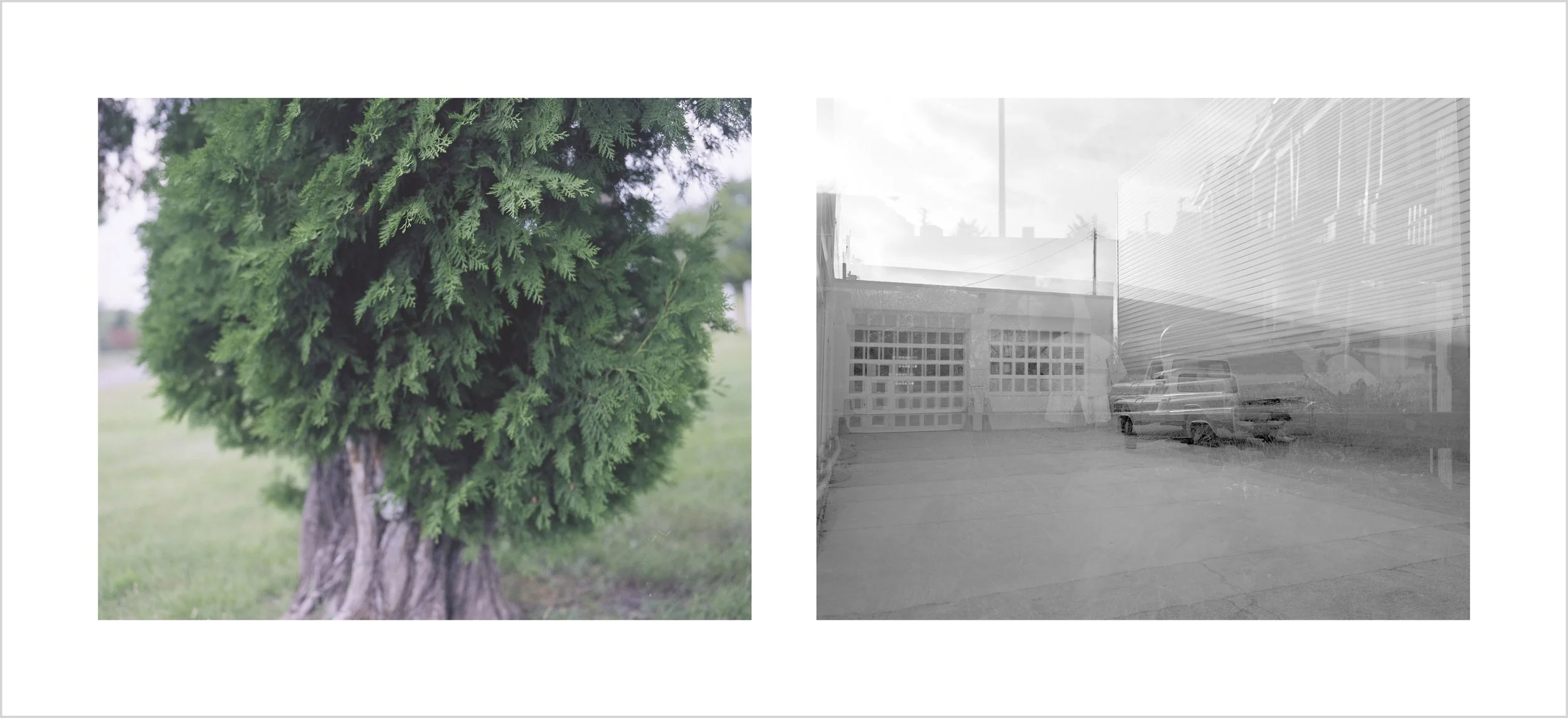 The River Song II 侍从宜春苑奉诏赋龙池柳色初青听新莺百嗽歌 