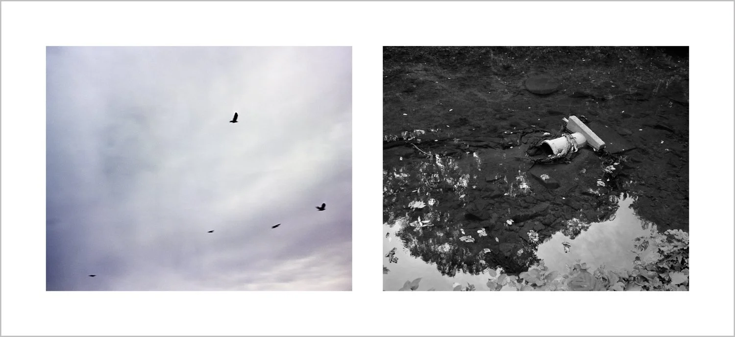 Sennin Poem by Kakuhaku 游仙诗·翡翠戏兰芍