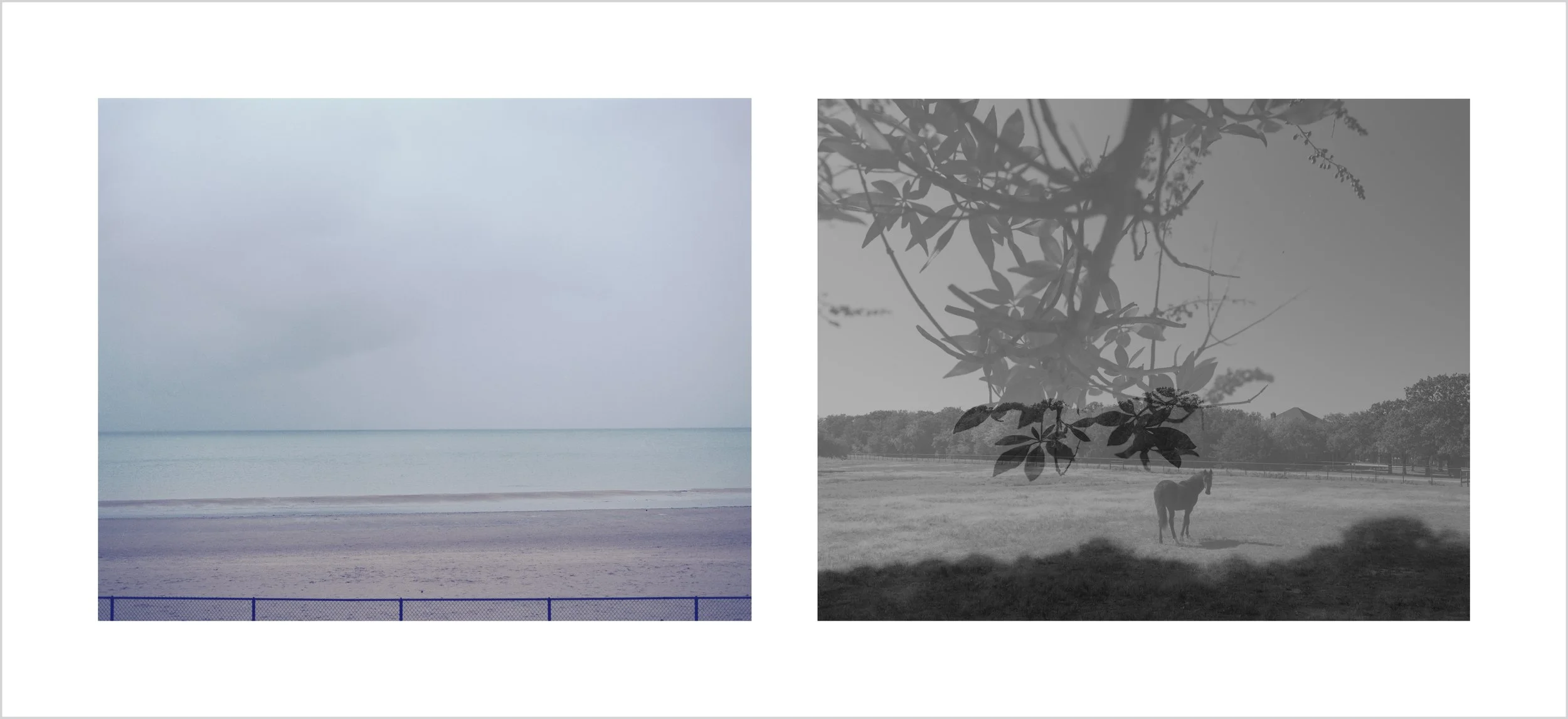 The River Song I 江上吟  