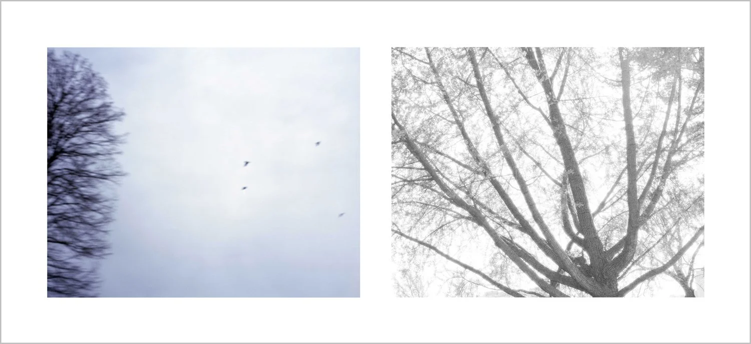 The City of Choan 登金陵凤凰