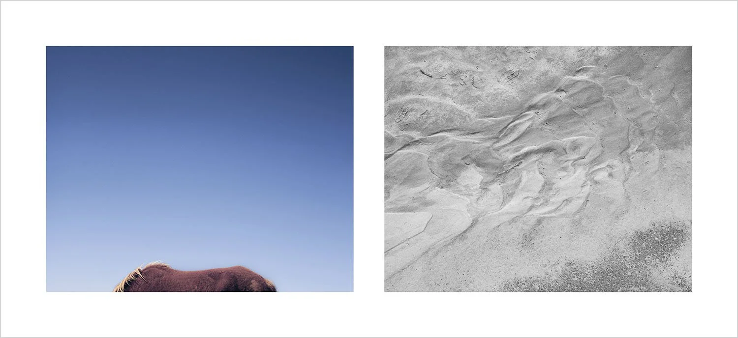 Taking Leave of a Friend  送友人