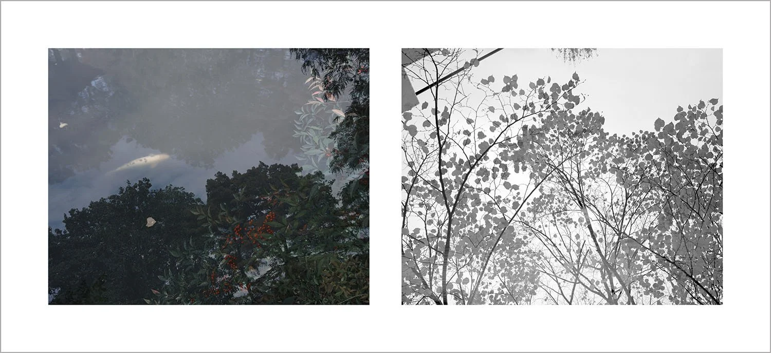 To-Em-Mei's "The Unmoving Cloud" 停云诗