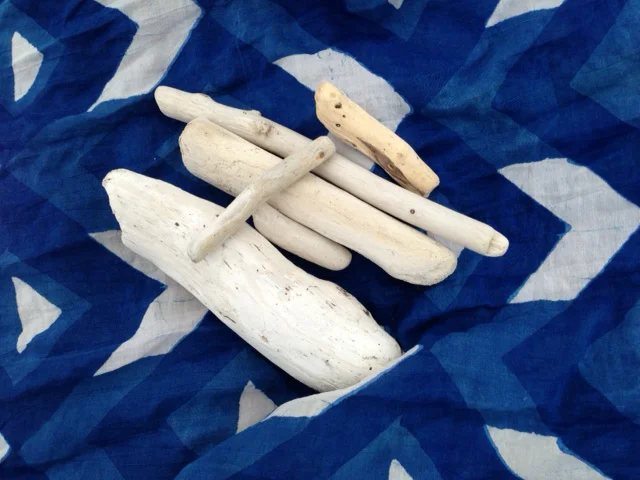 Collecting driftwood