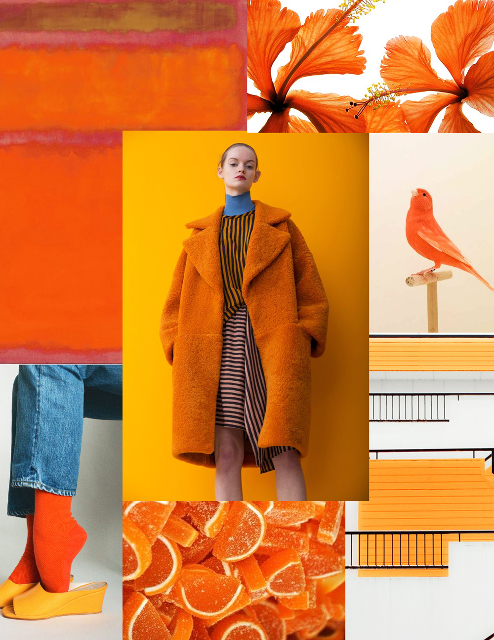 Tangerine Dream — Katja Ollendorff