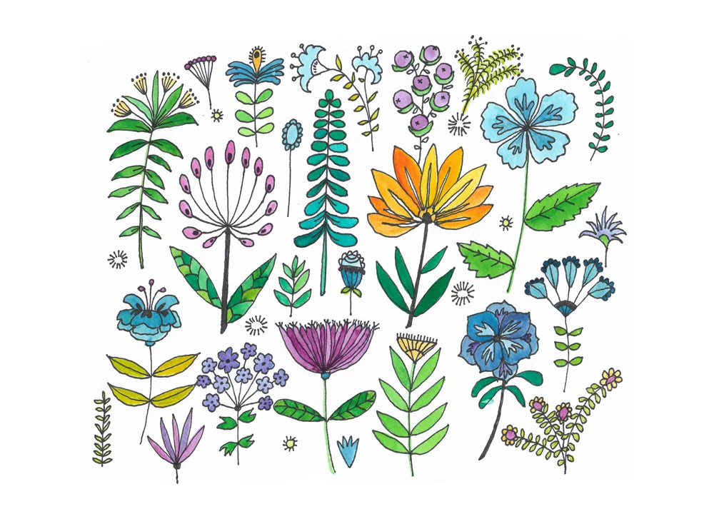 Botanical-1-Orig.jpg