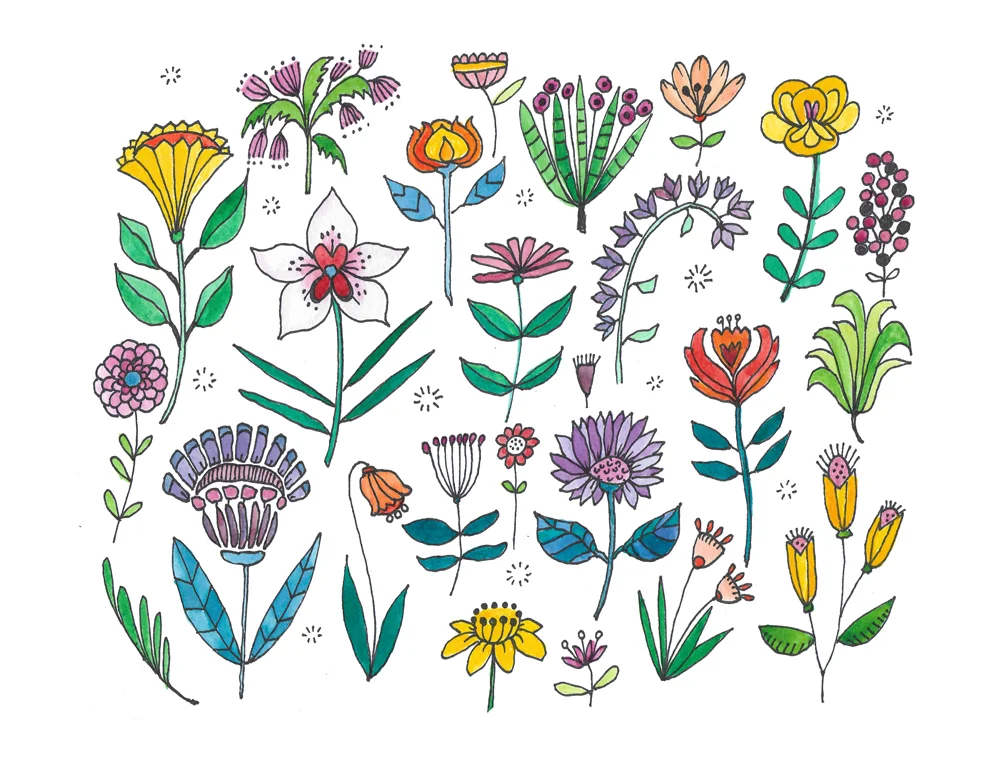 Botanical3.jpg