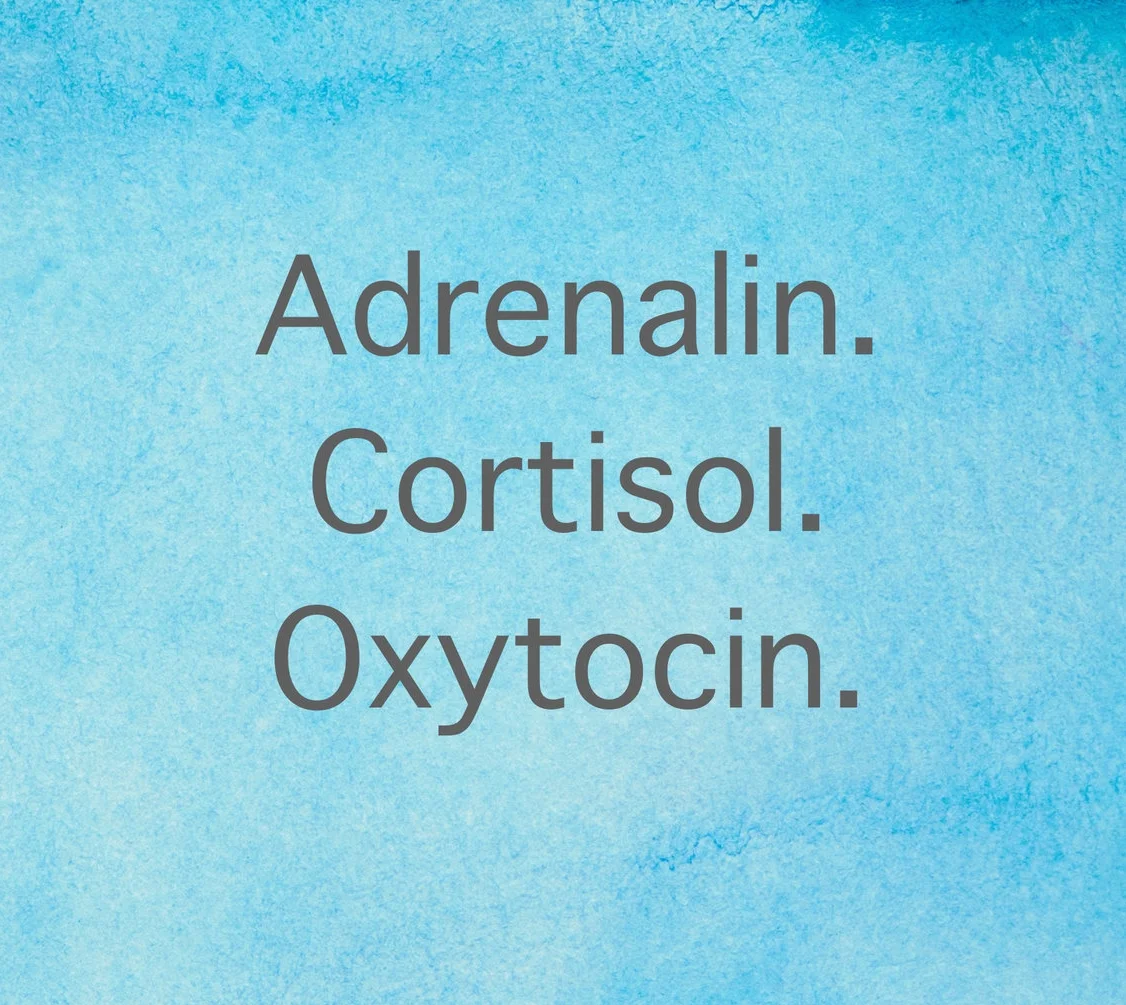 Adrenalin