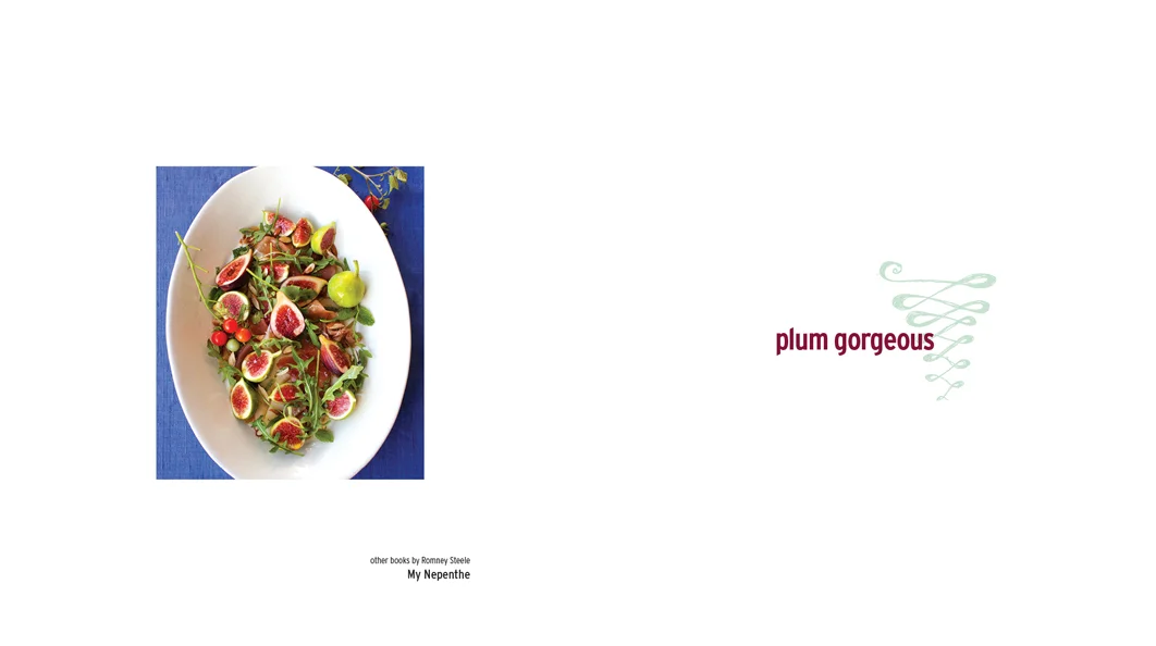 plumgorgeous_spread1_LBerman.jpg