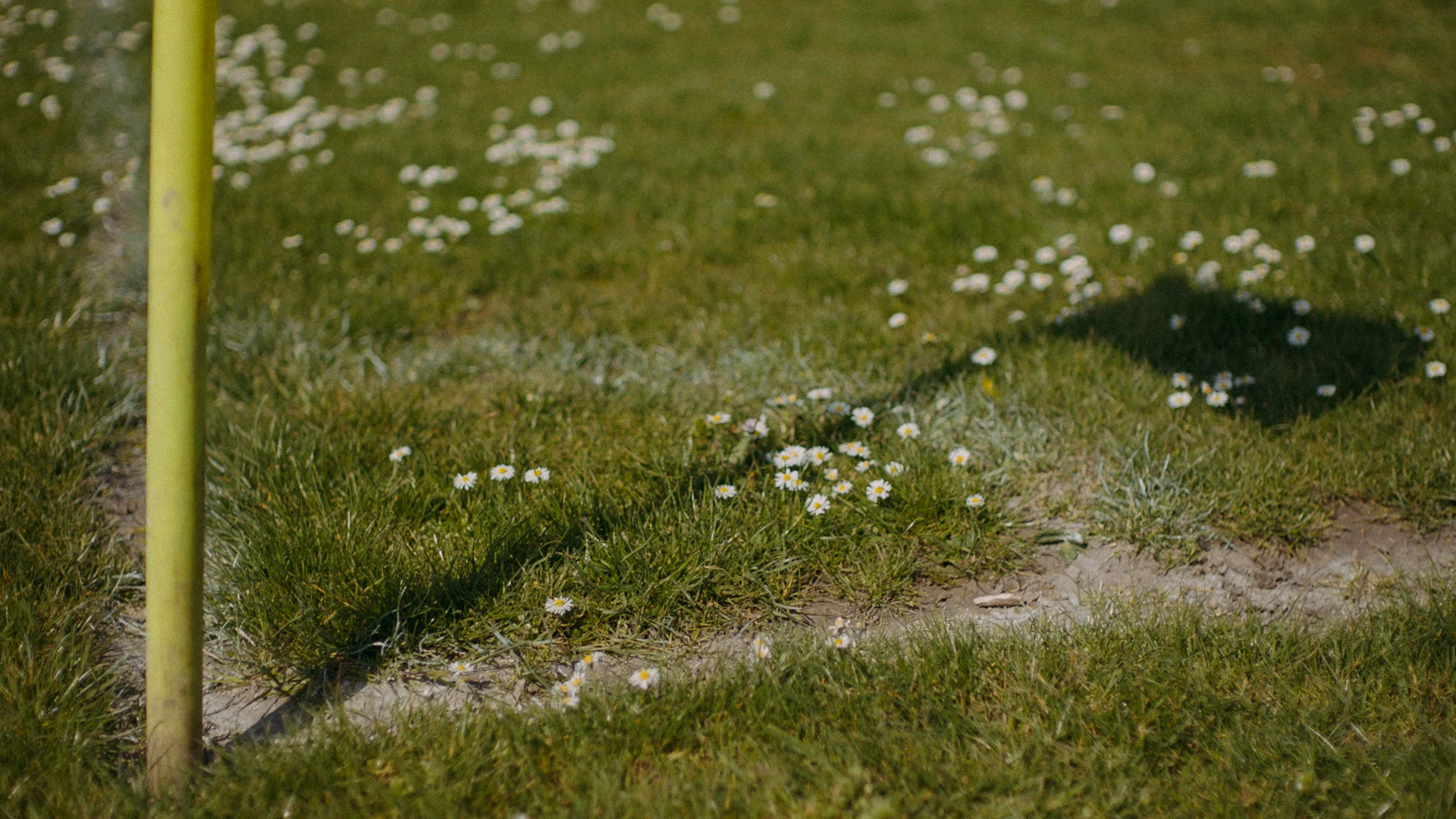 Etihad_Fan_edit_Dom_dir cut.00_00_12_14.Still007.jpg