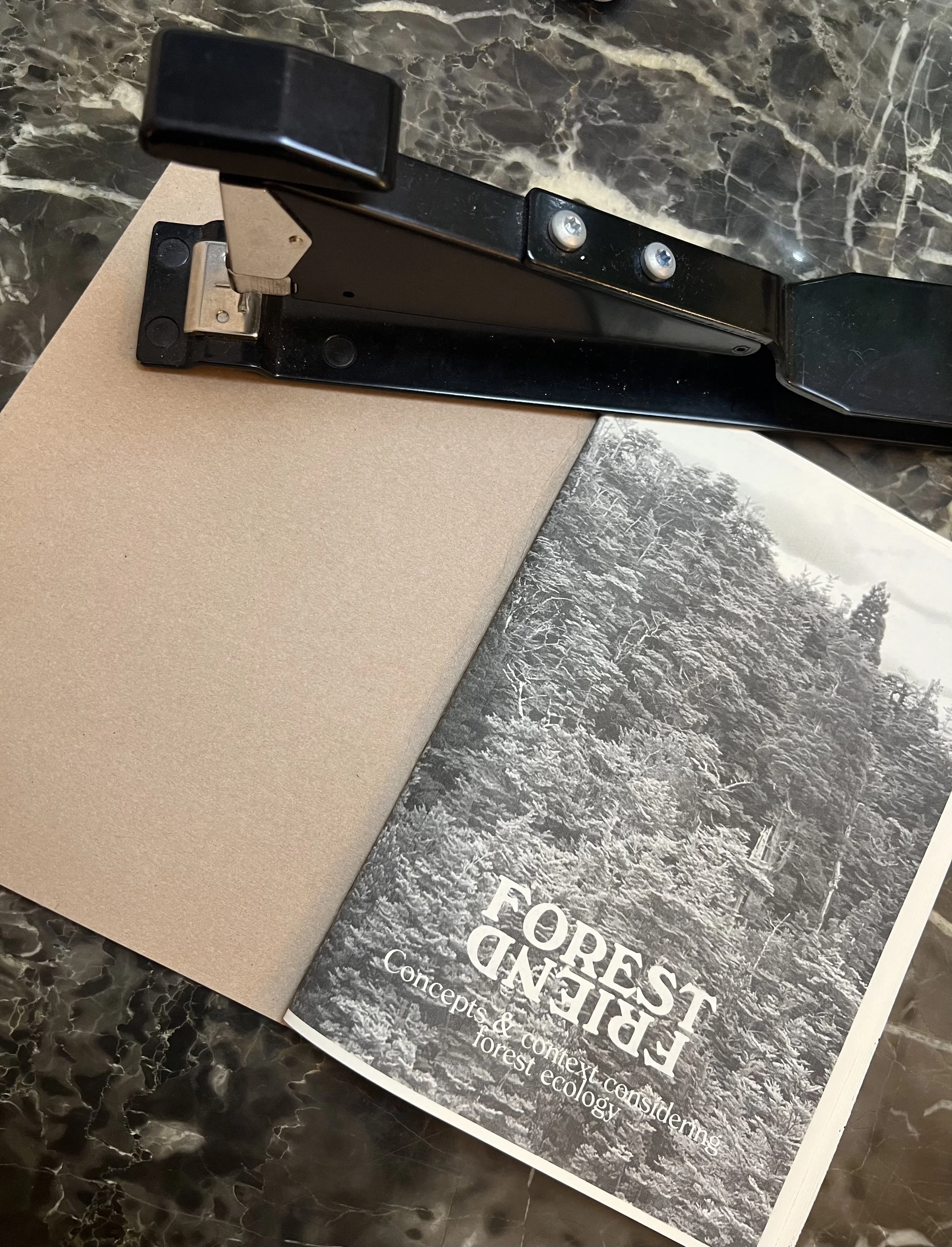 Forest friend print.jpeg