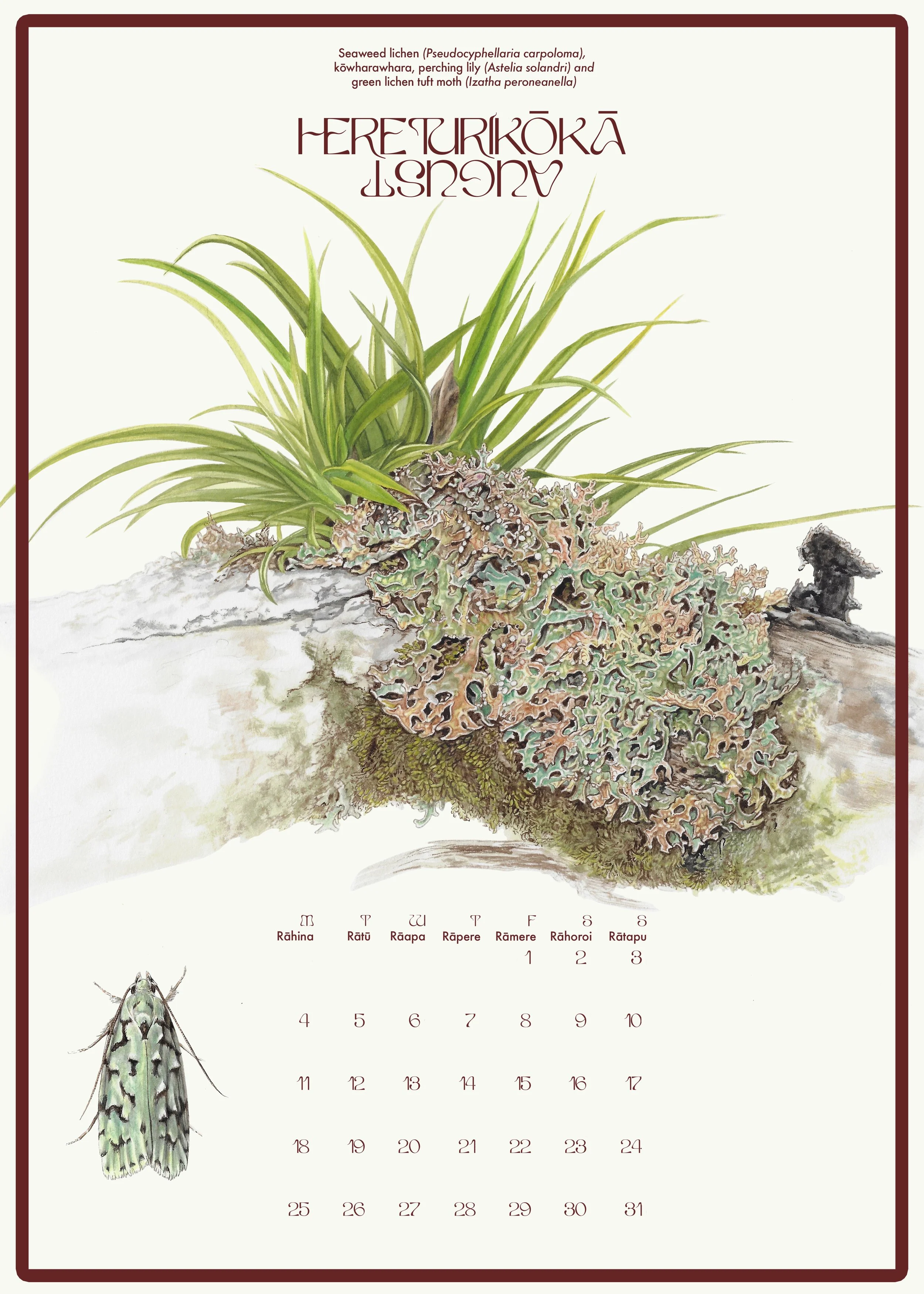 8. AUGUST lichen copy.jpg