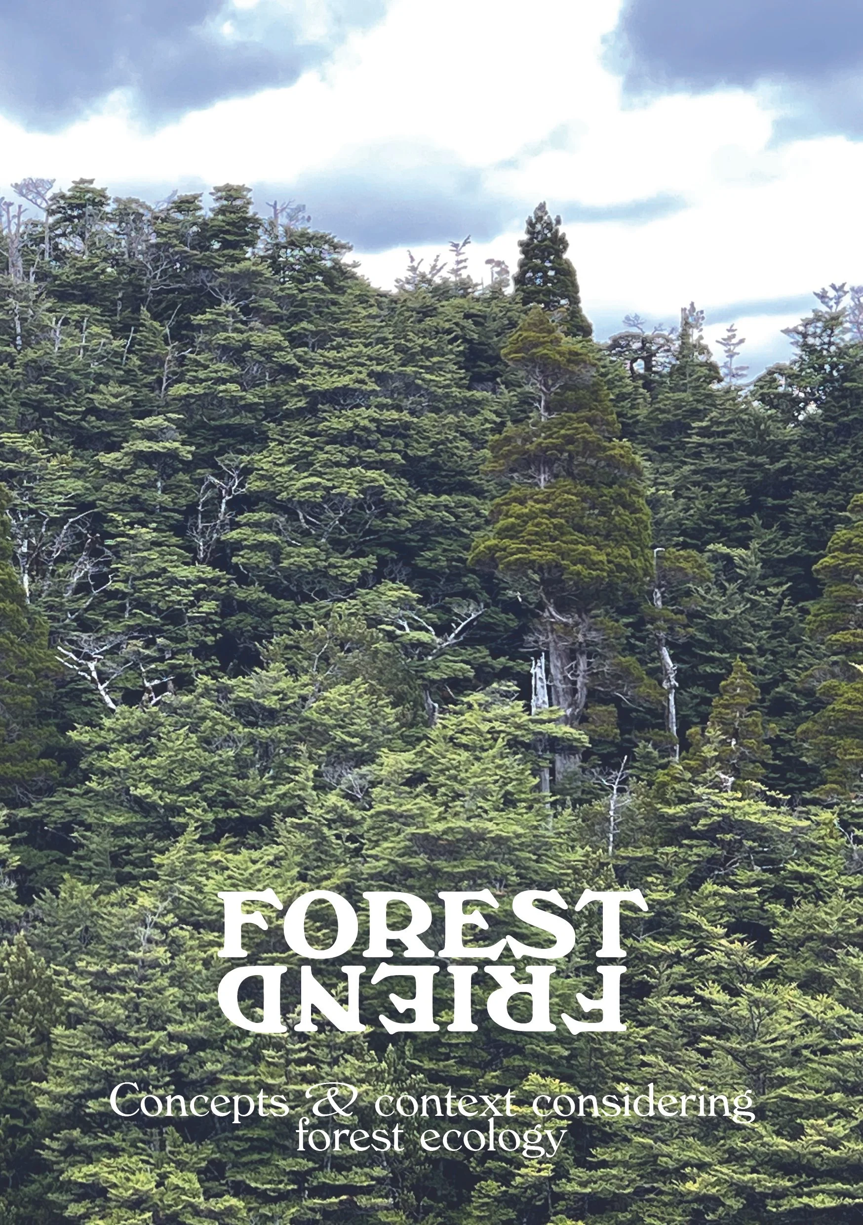 Forest Friend A5 interactive.jpg